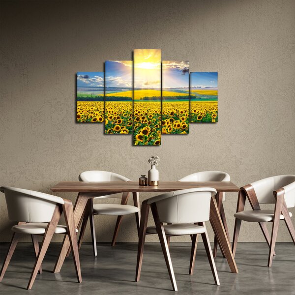 Obraz - Pole slnečníc (150x105 cm)