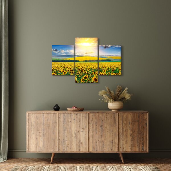 Obraz - Pole slnečníc (90x60 cm)
