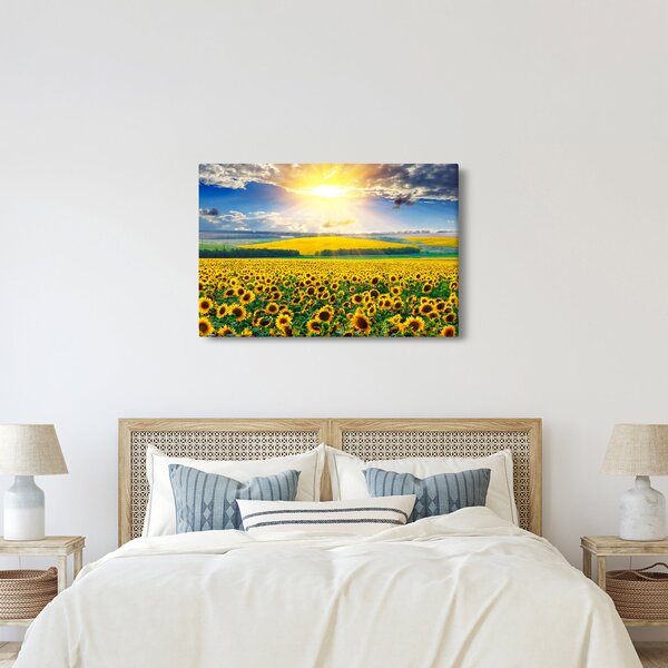 Obraz - Pole slnečníc (90x60 cm)