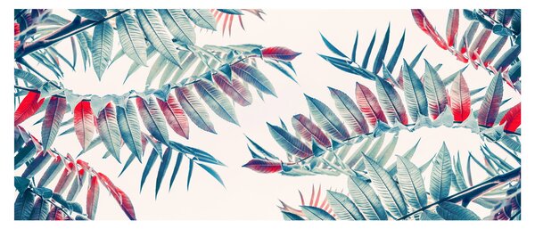 Obraz - Tropické listy (120x50 cm)