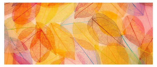 Obraz - Pozadie z jesenného lístia (120x50 cm)