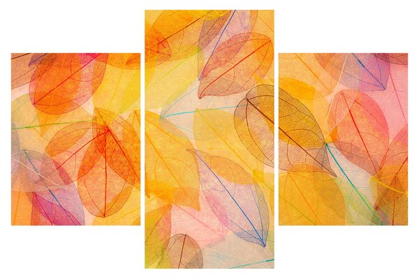 Obraz - Pozadie z jesenného lístia (90x60 cm)