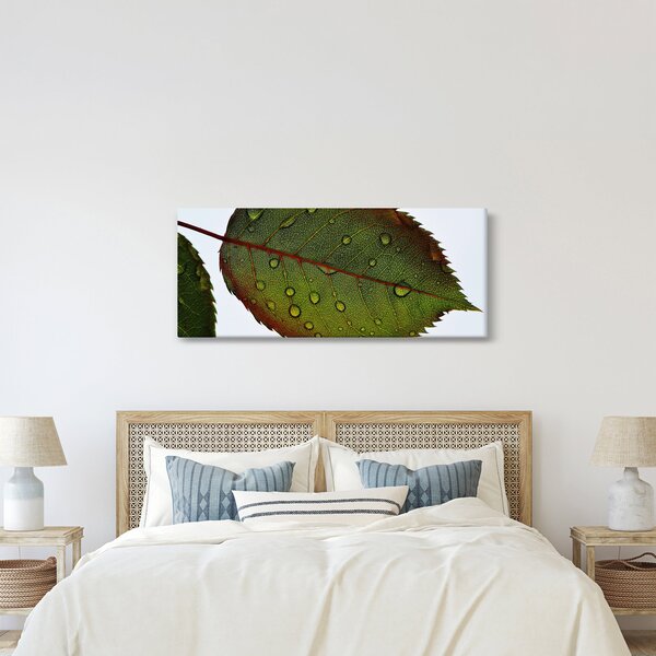 Obraz - List ruže (120x50 cm)