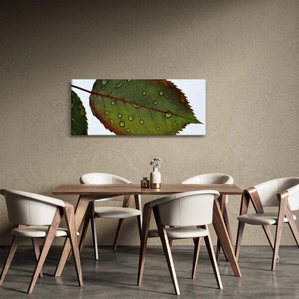 Obraz - List ruže (120x50 cm)