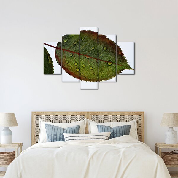 Obraz - List ruže (150x105 cm)