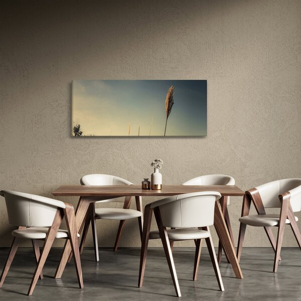 Obraz s trávou (120x50 cm)