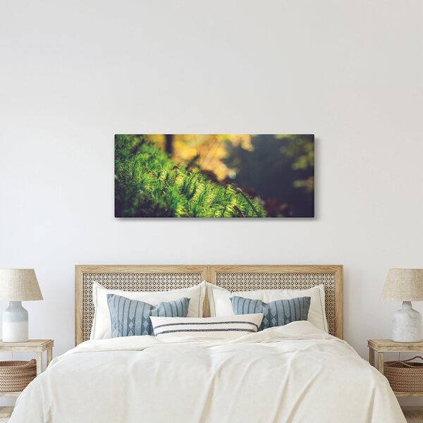 Obraz machu s hubou (120x50 cm)