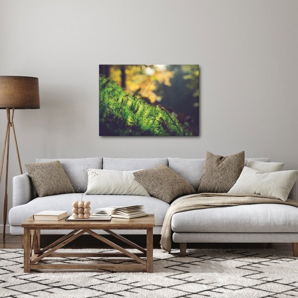 Obraz machu s hubou (70x50 cm)