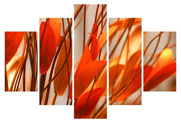 Obraz okvetných lístkov (150x105 cm)