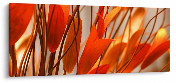 Obraz okvetných lístkov (120x50 cm)