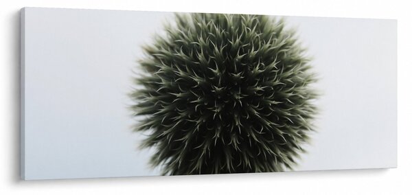 Obraz kvetinové gule (120x50 cm)