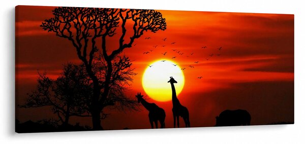 Obraz - Siluety zvierat pri západe slnka (120x50 cm)