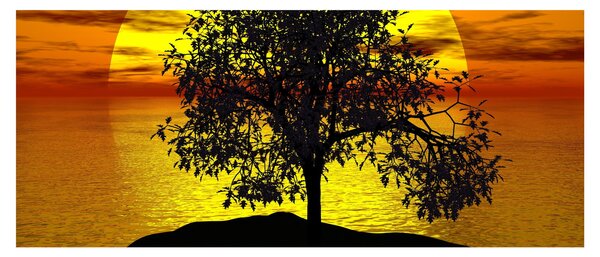 Obraz siluety stromu (120x50 cm)