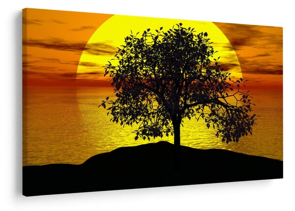 Obraz siluety stromu (90x60 cm)