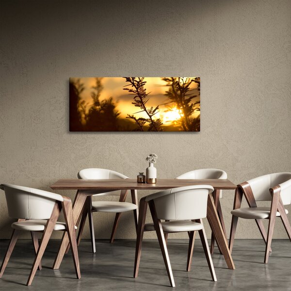 Obraz - Slnko zapadajúce za stromami (120x50 cm)