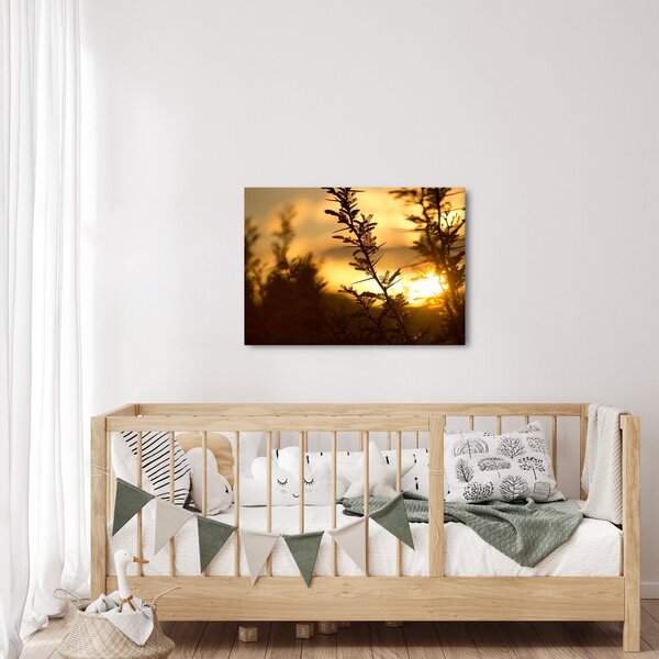 Obraz - Slnko zapadajúce za stromami (70x50 cm)