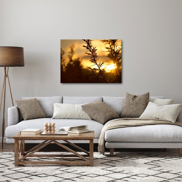 Obraz - Slnko zapadajúce za stromami (70x50 cm)