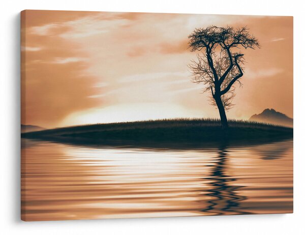 Obraz stromu na ostrove (70x50 cm)