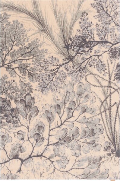Vlnený koberec v mentolovej a béžovej farbe 133x190 cm V&A Calisia Kelp – Agnella