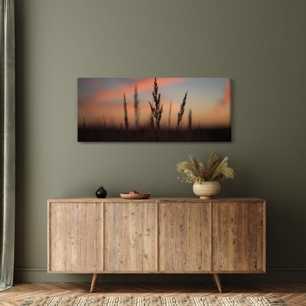 Obraz - Silueta rastliny (120x50 cm)