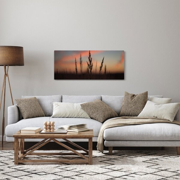 Obraz - Silueta rastliny (120x50 cm)