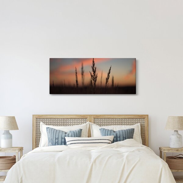 Obraz - Silueta rastliny (120x50 cm)