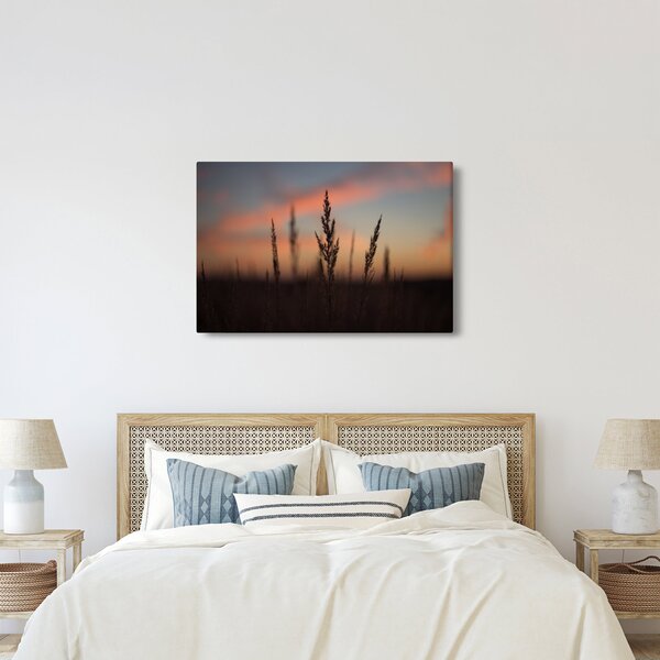 Obraz - Silueta rastliny (90x60 cm)