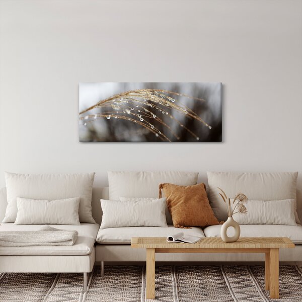 Obraz kvapiek na rastline (120x50 cm)
