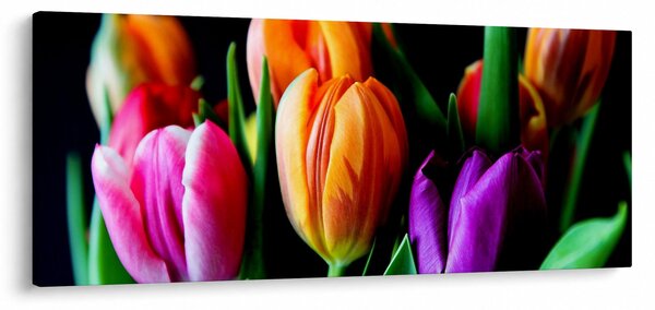Obraz tulipánov na čiernom pozadí (120x50 cm)