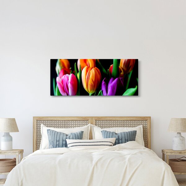 Obraz tulipánov na čiernom pozadí (120x50 cm)