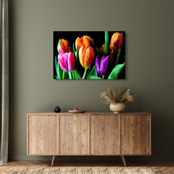 Obraz tulipánov na čiernom pozadí (90x60 cm)