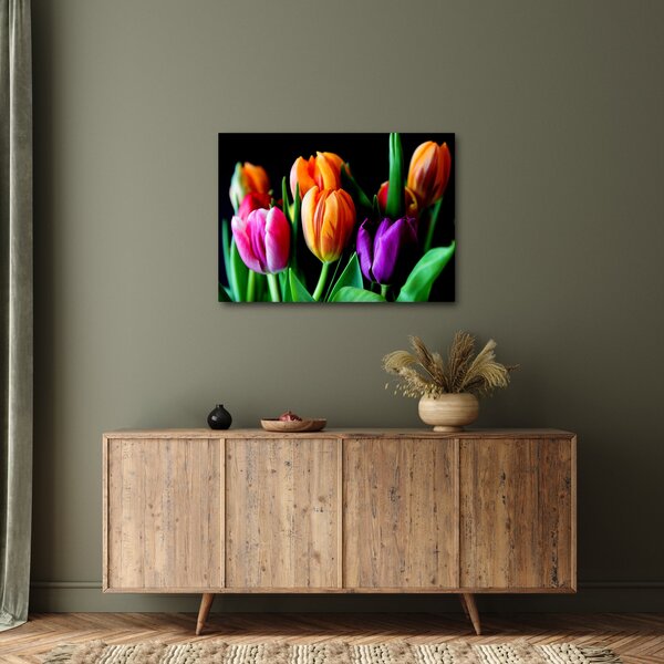 Obraz tulipánov na čiernom pozadí (70x50 cm)