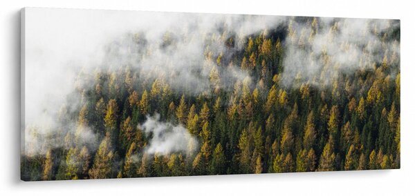 Obraz lesa v mrakoch (120x50 cm)