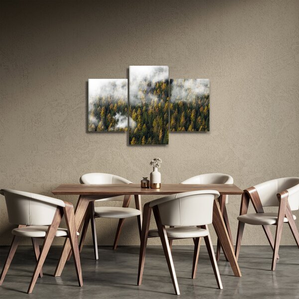 Obraz lesa v mrakoch (90x60 cm)