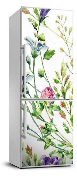 Fototapeta samolepiace na chladničku Poľné kvety