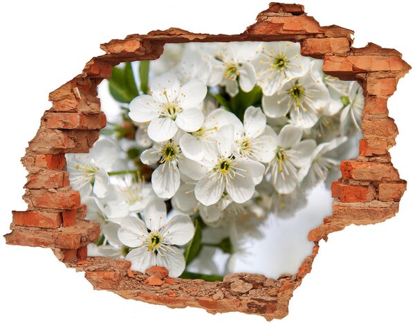 Samolepiaca nálepka betón Čerešňové kvety