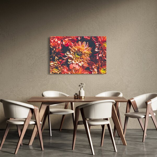 Obraz - Chryzantémy (90x60 cm)