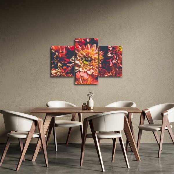 Obraz - Chryzantémy (90x60 cm)