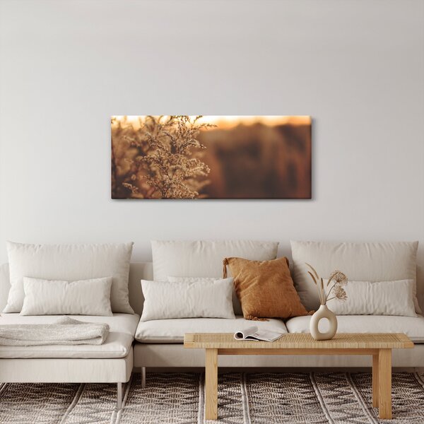 Obraz kvitnúcej trávy (120x50 cm)
