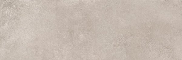 Unik Taupe 30x90 R