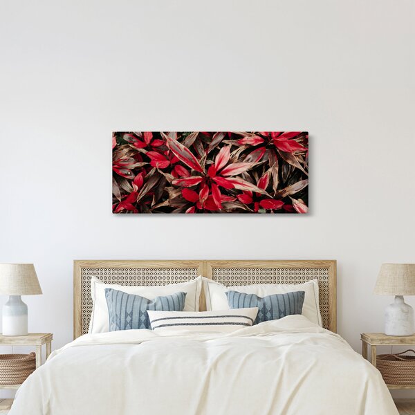 Obraz červených okvetných lístkov (120x50 cm)