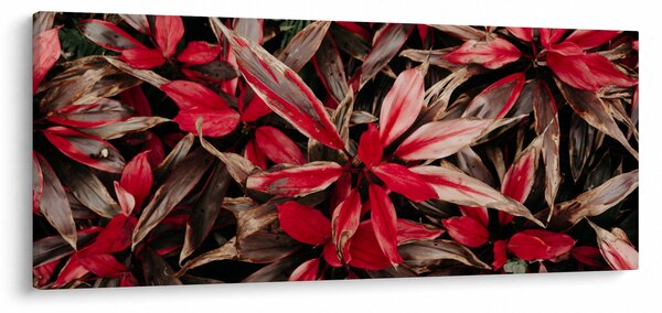 Obraz červených okvetných lístkov (120x50 cm)