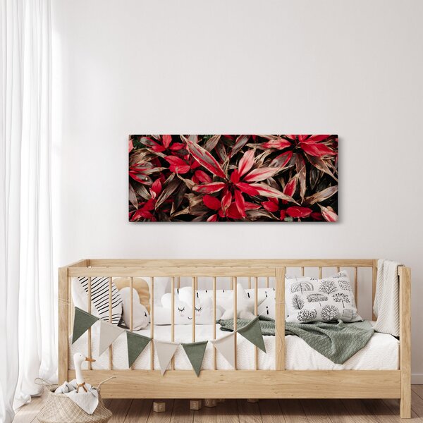 Obraz červených okvetných lístkov (120x50 cm)