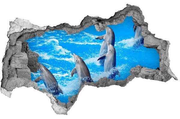 Diera 3D fototapeta na stenu nálepka Delfíny nd-b-39687572