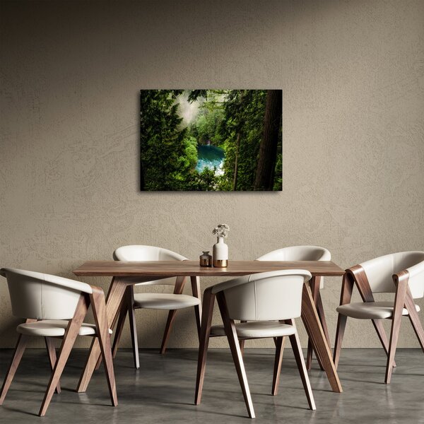 Obraz - Priezor medzi stromami (70x50 cm)