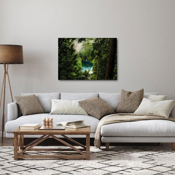 Obraz - Priezor medzi stromami (70x50 cm)