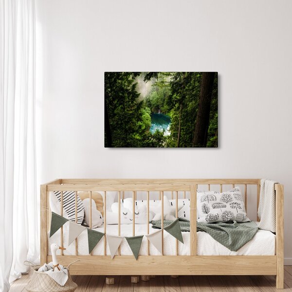 Obraz - Priezor medzi stromami (90x60 cm)
