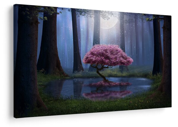 Obraz - Magická noc (90x60 cm)