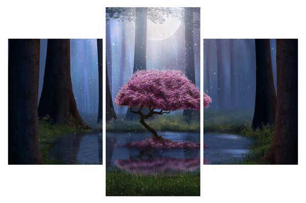 Obraz - Magická noc (90x60 cm)