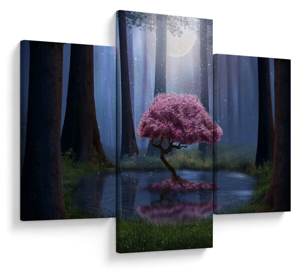Obraz - Magická noc (90x60 cm)